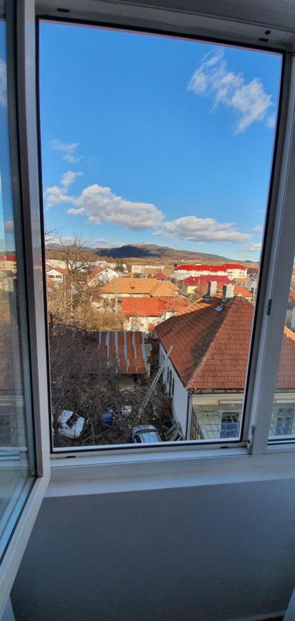 Apartamento Garsoniera Horezu Exterior foto