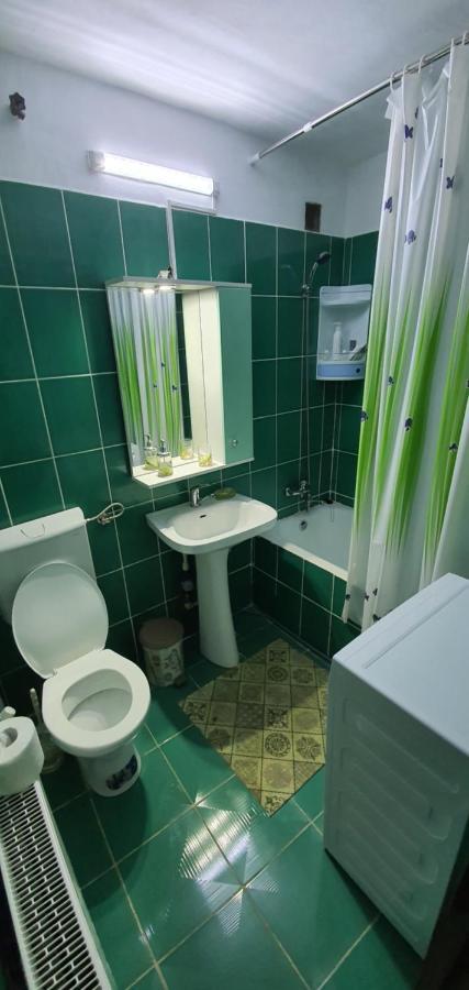 Apartamento Garsoniera Horezu Exterior foto